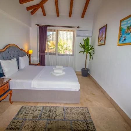 빌라 Patara Titanic 3+1 Villa, Oezel Havuzlu, 페티예